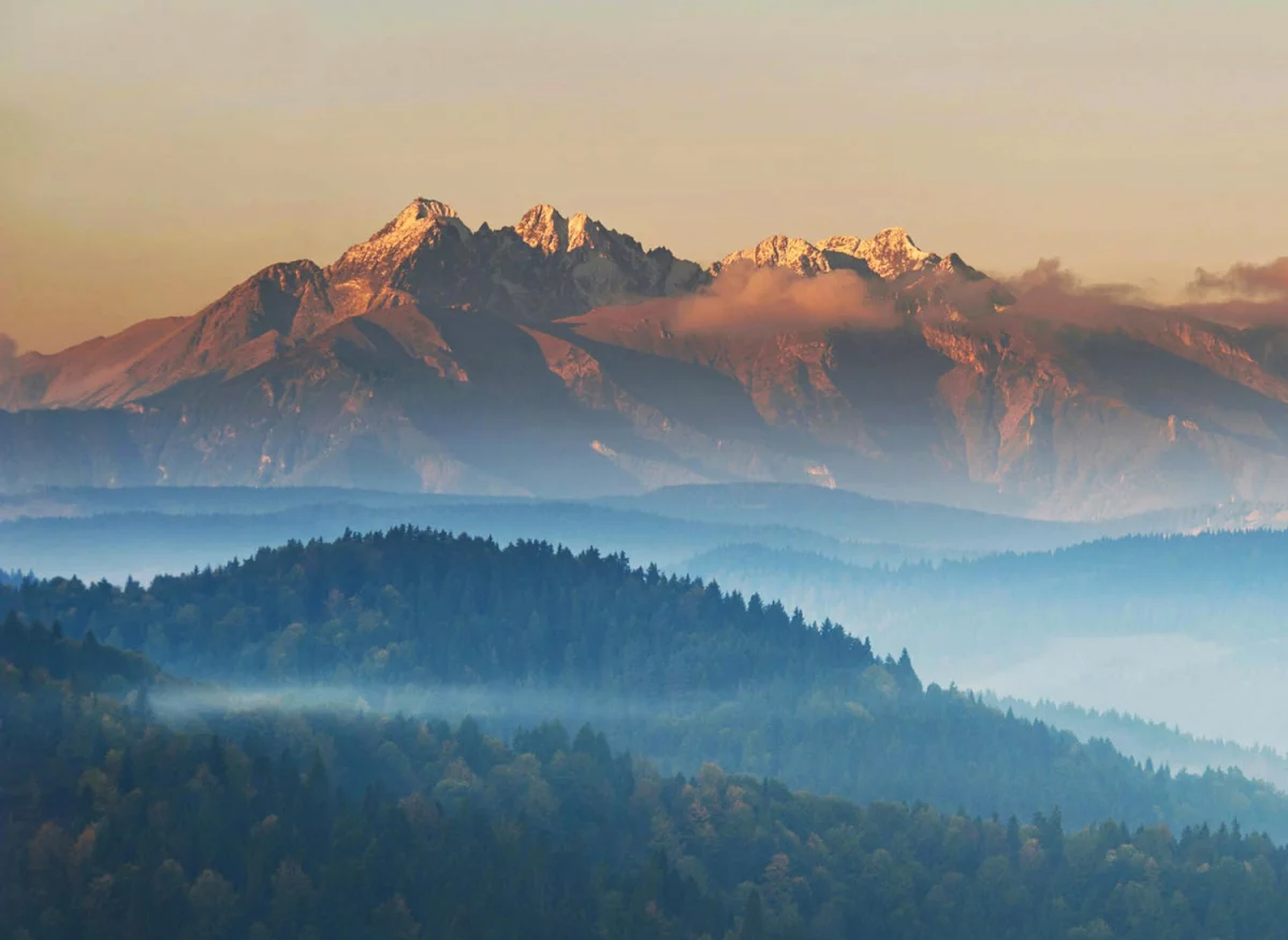 Dobre Programy dla firm