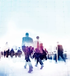 Wszystko na event do wypożyczenia