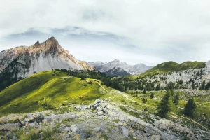 Odnawianie mebli dla początkujących: prosty poradnik DIY — szlifowanie, bejca, farba kredowa, przecierki i tanie techniki metamorfozy