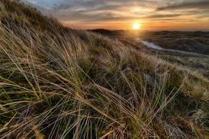 Radzimy jak sprowadzić samochód lepiej