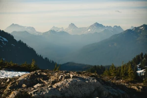 raportować do BDO i KOBIZE? Jak ekspert!