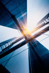 Jak można w 2025  zadbać o rośliny domowe?